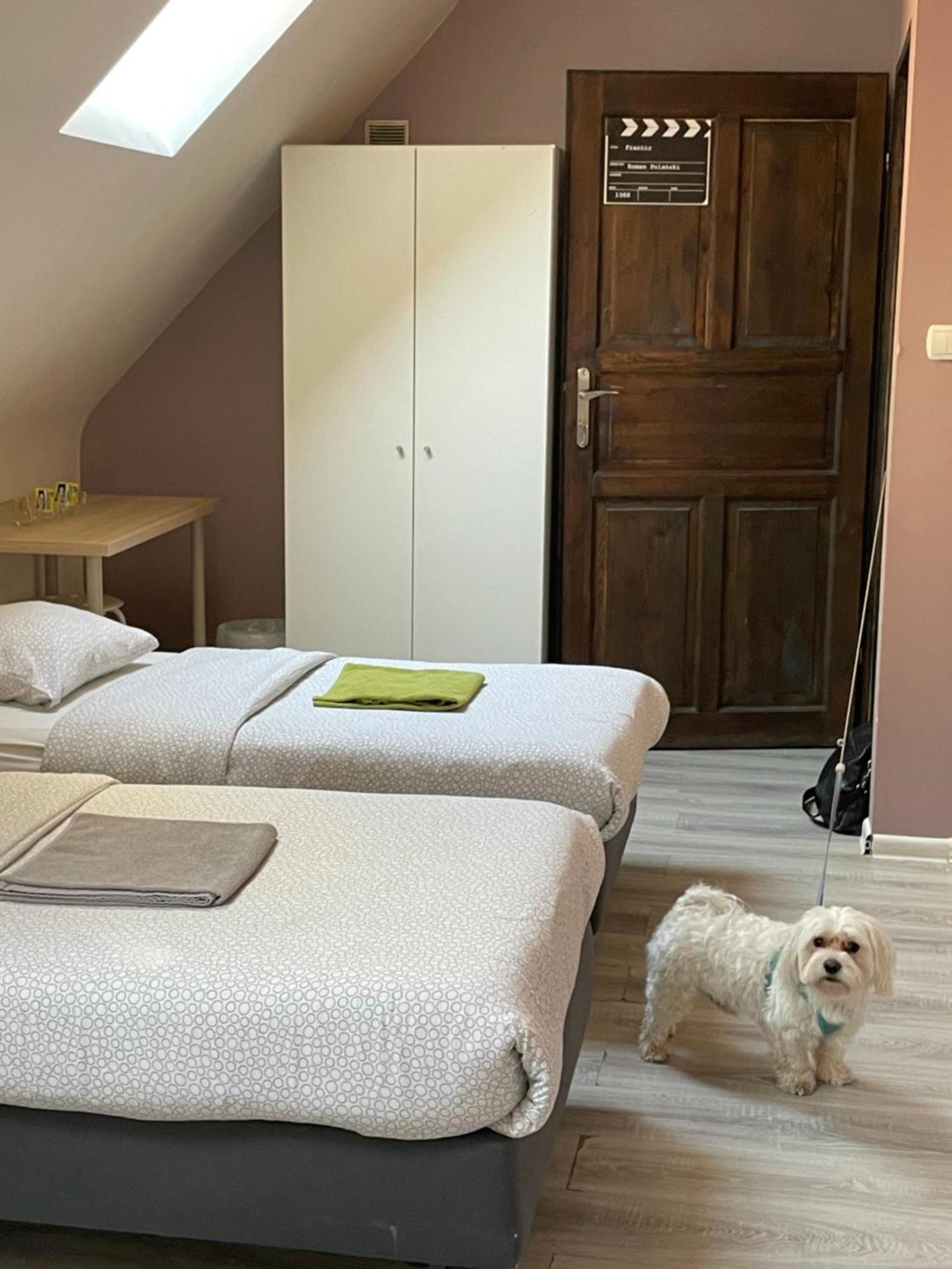 Kolysanka Private Rooms In Old Town Poznan Ngoại thất bức ảnh