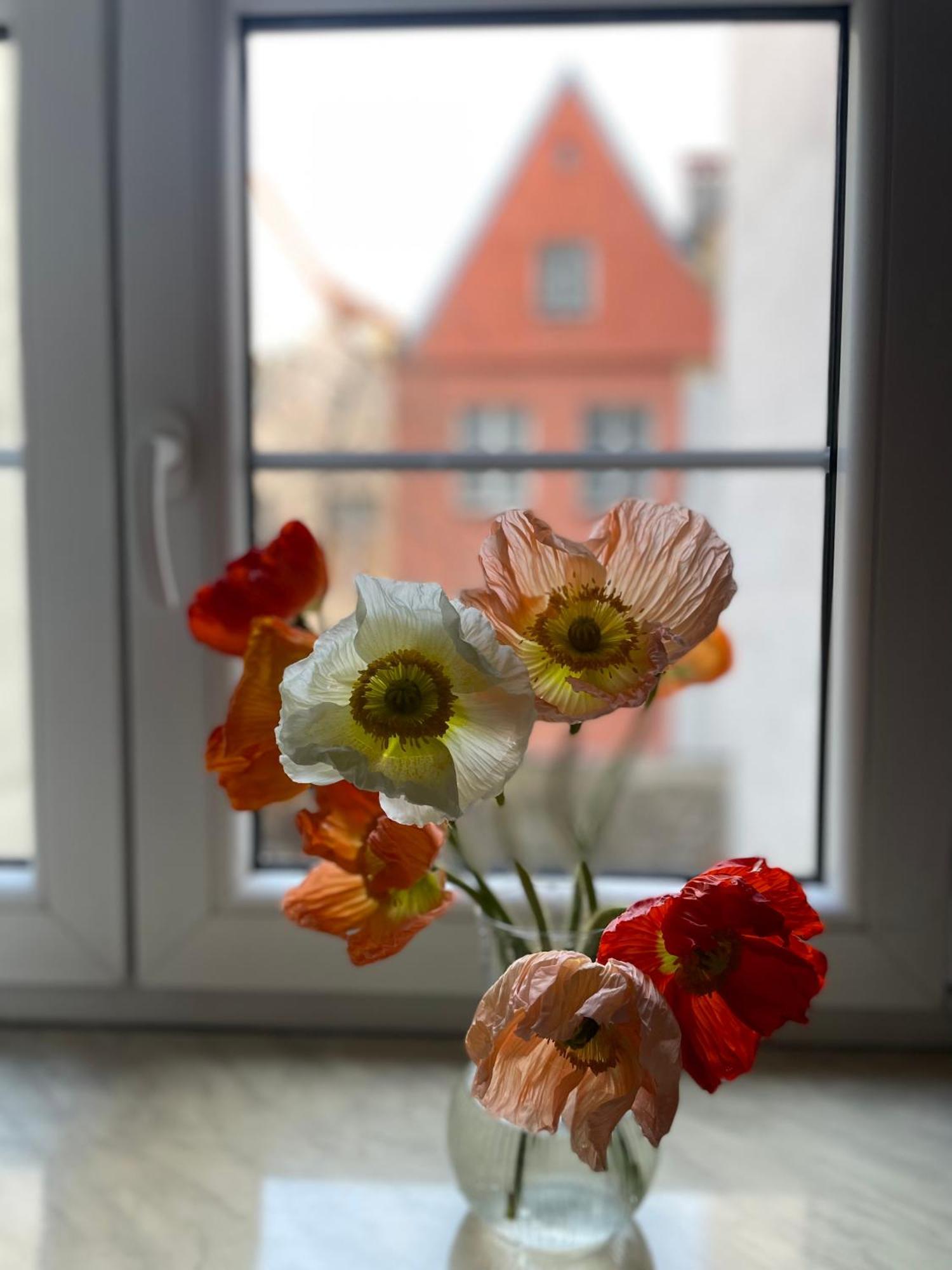 Kolysanka Private Rooms In Old Town Poznan Ngoại thất bức ảnh